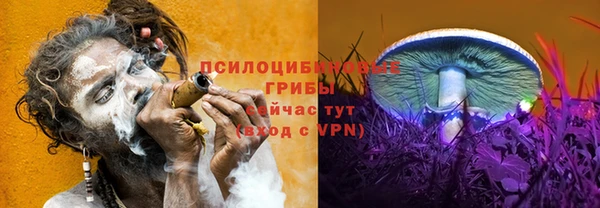 винт Бугульма